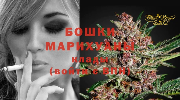 ECSTASY Богданович